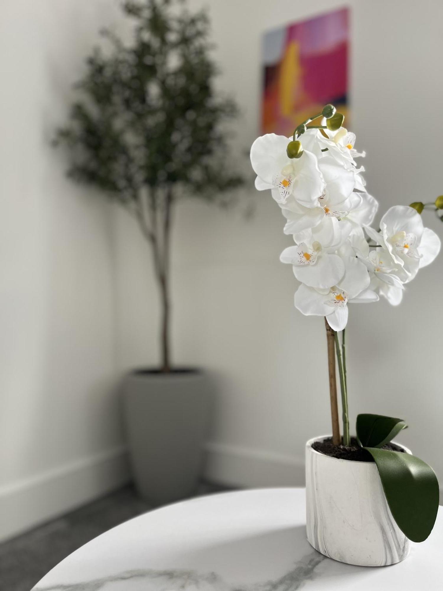 Luxury Norwich City Centre Apartment - Free Parking Екстериор снимка